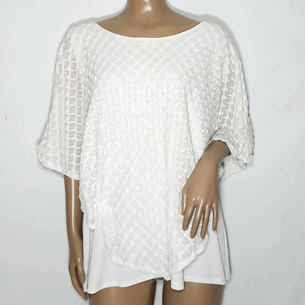 Notations Shimmery Blouse